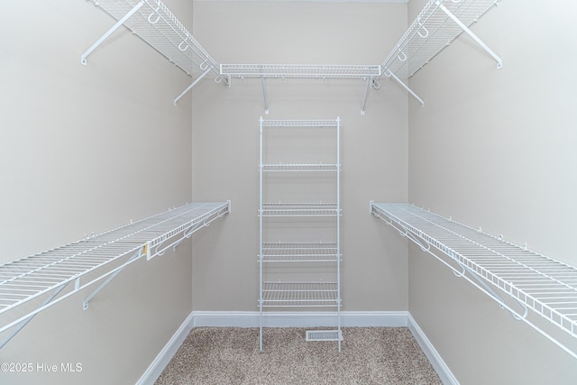 112 Highwoods Dr, Goldsboro, NC 27530 - walk in closet featuring carpet floors