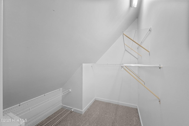 32 Windy Ct, Oriental, NC 28571 - spacious closet featuring carpet flooring and vaulted ceiling