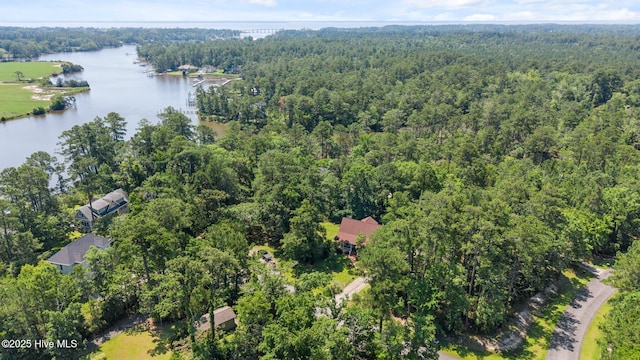 32 Windy Ct, Oriental, NC 28571 - view of property location featuring a forest and a nearby body of water