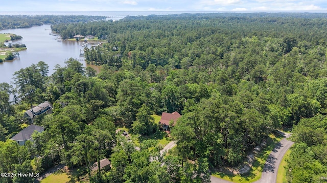 32 Windy Ct, Oriental, NC 28571 - aerial overview of property's location with a forest and a nearby body of water