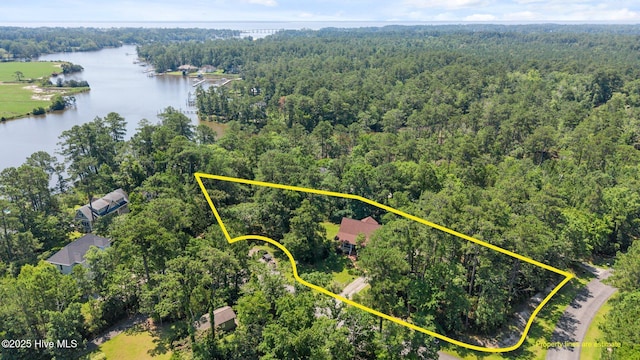 32 Windy Ct, Oriental, NC 28571 - aerial view of property and surrounding area with a forest and property boundaries highlighted