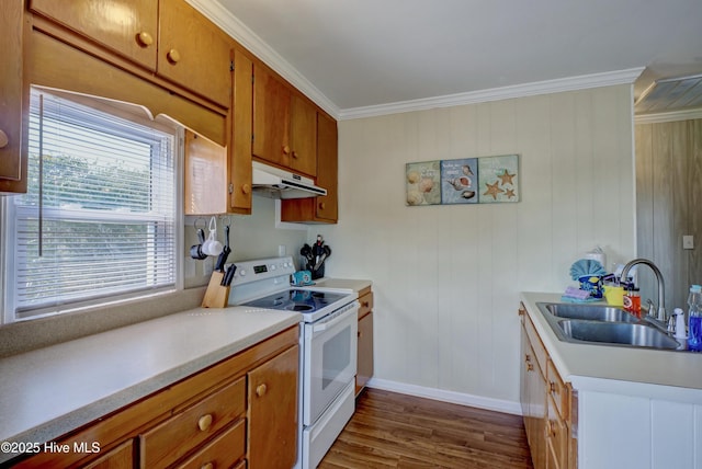 6703 13th Ave, North Topsail Beach, NC 28460 - kitchen with electric range, under cabinet range hood, dark wood-style floors, light countertops, and ornamental molding