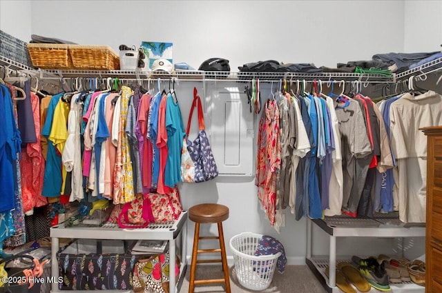 1673 White Starfish Ct, Calabash, NC 28467 - spacious closet featuring carpet