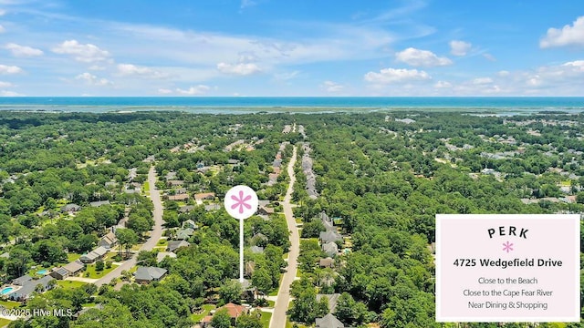 4725 Wedgefield Dr, Wilmington, NC 28409 - drone / aerial view of a forest
