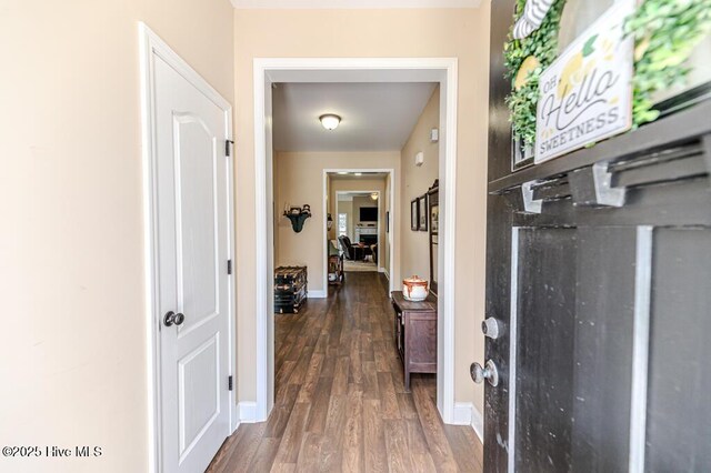 276 Widgeon Way, Lillington, NC 27546 - entrance foyer with dark wood-style flooring and baseboards