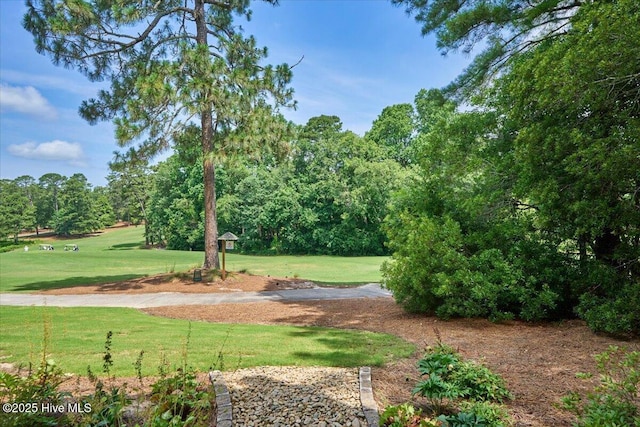 240 Cochrane Castle Cir Unit F, Pinehurst, NC 28374 - view of grassy yard