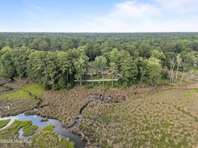 6122 Timber Creek Ln, Wilmington, NC 28411 - aerial view of a forest