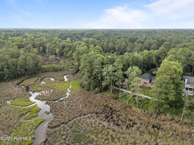 6122 Timber Creek Ln, Wilmington, NC 28411 - view of property location with a heavily wooded area