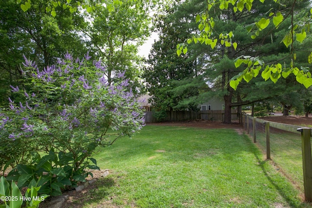 615 E Main St, Aberdeen, NC 28315 - view of fenced backyard