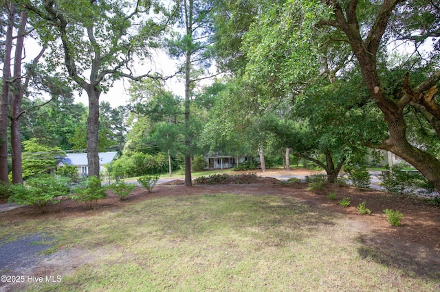 615 E Main St, Aberdeen, NC 28315 - view of grassy yard