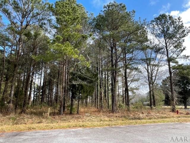 0 New Rd, Columbia, NC 27925