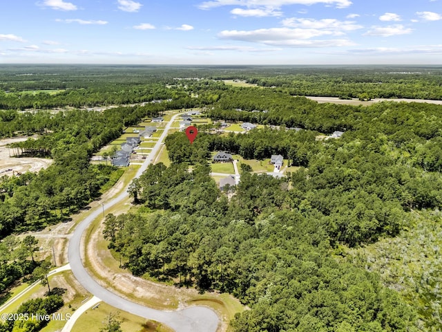 225 Gus Horne Rd Unit 36, Holly Ridge, NC 28445