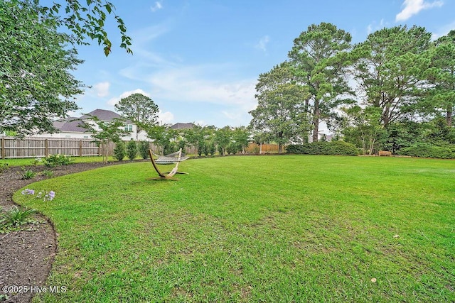 311 Lennox Pl, Wilmington, NC 28412 - view of yard