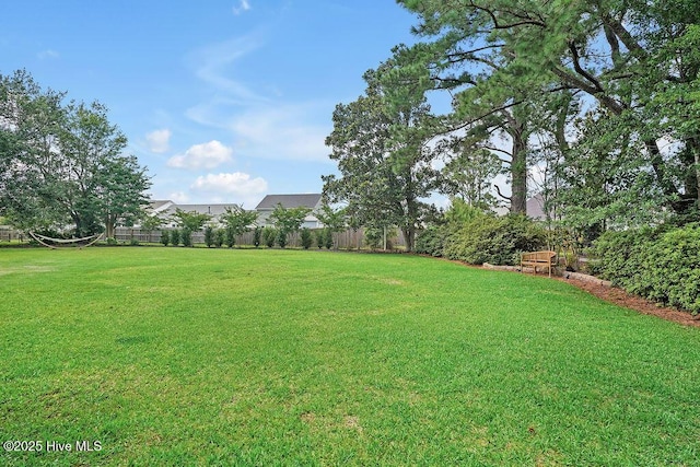 311 Lennox Pl, Wilmington, NC 28412 - view of yard
