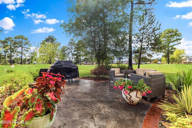 258 Morning View Way, Leland, NC 28451 - view of patio / terrace with outdoor lounge area and grilling area