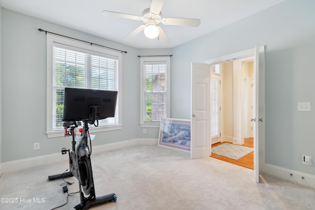 258 Morning View Way, Leland, NC 28451 - exercise room with carpet flooring and a ceiling fan
