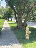102 W Eden St, Edenton, NC 27932 - view of community