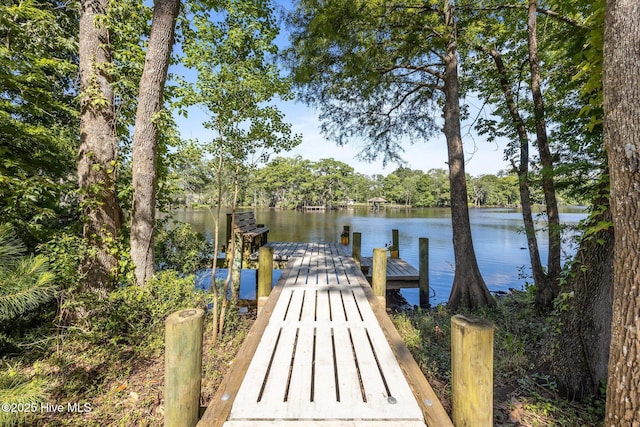 604 W Wilson Creek Dr, Trent Woods, NC 28562 - dock featuring a water view
