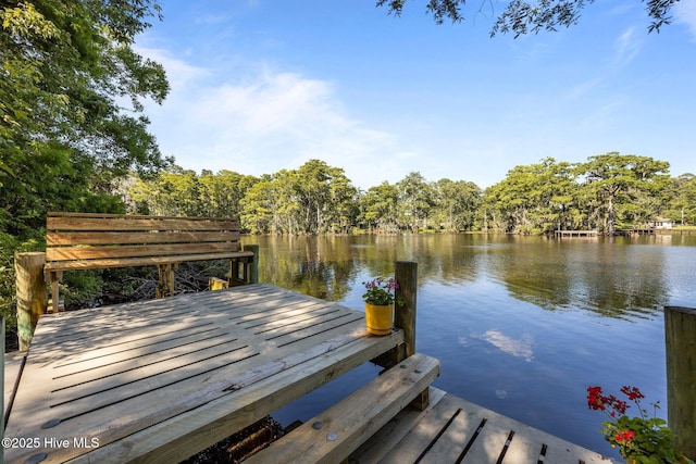 604 W Wilson Creek Dr, Trent Woods, NC 28562 - dock area with a water view