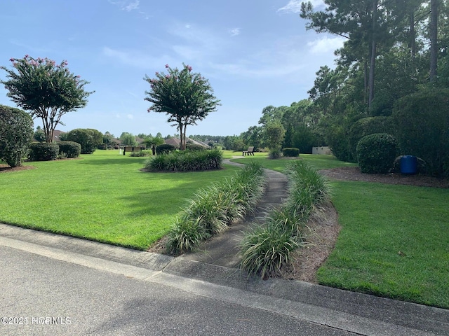 453 Motts Forest Rd Unit 70, Wilmington, NC 28412 - view of property's community featuring a yard