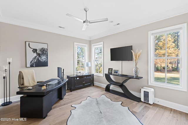 805 Wild Turkey Pl, Wilmington, NC 28405 - office area with ceiling fan, crown molding, healthy amount of natural light, and light wood finished floors