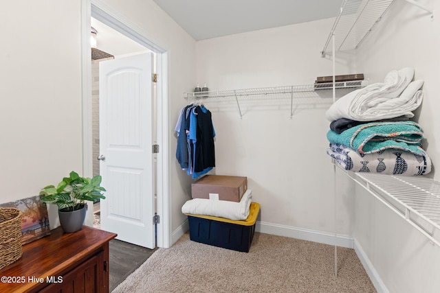 126 NW 14th St, Oak Island, NC 28465 - spacious closet featuring carpet floors