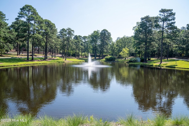 183 Baker Cir W, End, NC 27376 - water view with a tree filled landscape