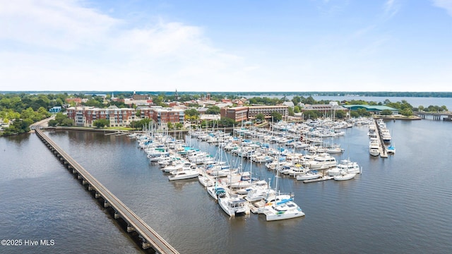 219 Sky Sail Blvd, New Bern, NC 28560 - bird's eye view of a marina and a nearby body of water