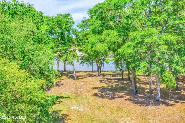 314 Spencer Farlow Dr Unit 2, Carolina Beach, NC 28428 - view of yard