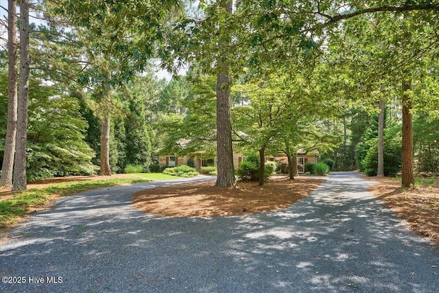 1 Pine Crest Dr, Whispering Pines, NC 28327 - view of dirt / gravel road