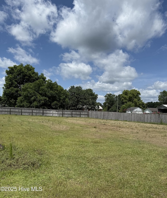 102 Harmony Way, Richlands, NC 28574 - view of yard