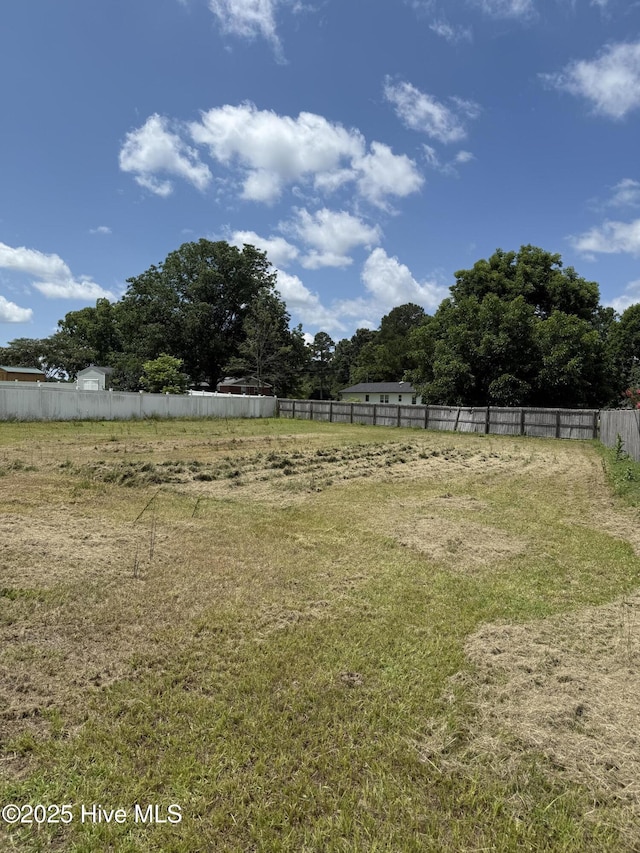 102 Harmony Way, Richlands, NC 28574 - view of yard
