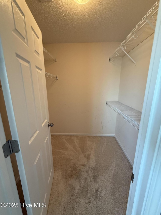 102 Harmony Way, Richlands, NC 28574 - walk in closet with carpet floors