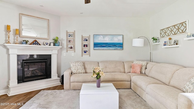 75 Bynum Ct, Vass, NC 28394 - living area featuring wood finished floors and a glass covered fireplace
