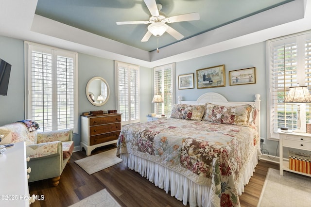 1178 Eastwood Landing Way, Sunset Beach, NC 28468 - bedroom featuring a tray ceiling, wood finished floors, and multiple windows