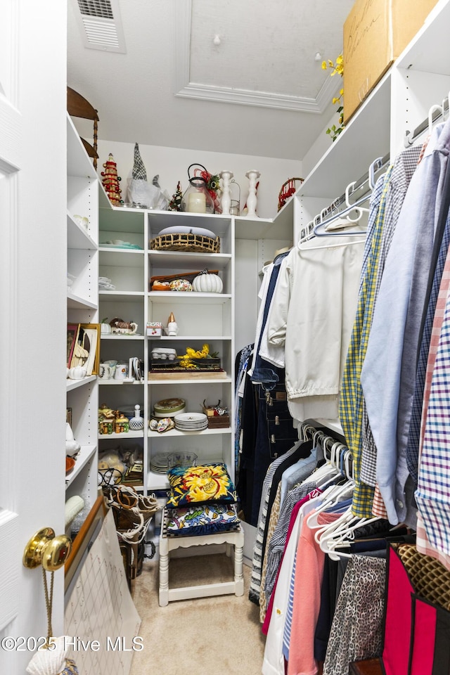 1178 Eastwood Landing Way, Sunset Beach, NC 28468 - walk in closet featuring carpet floors