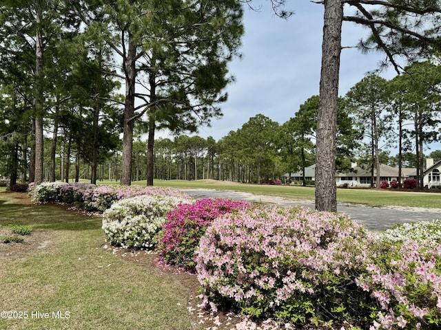 1178 Eastwood Landing Way, Sunset Beach, NC 28468 - view of property's community with a yard