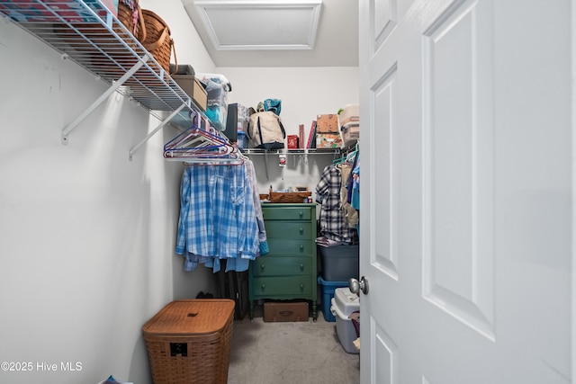 73 Field Planters Cir, Calabash, NC 28467 - walk in closet with attic access and carpet