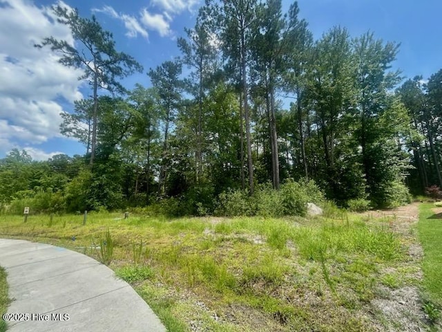 1632 Osprey Cove Ct Unit 44, Wilmington, NC 28401