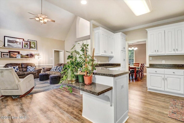 419 Morgan Trace Ln, Goldsboro, NC 27530 - kitchen featuring open floor plan, dark countertops, white cabinets, a peninsula, and high vaulted ceiling