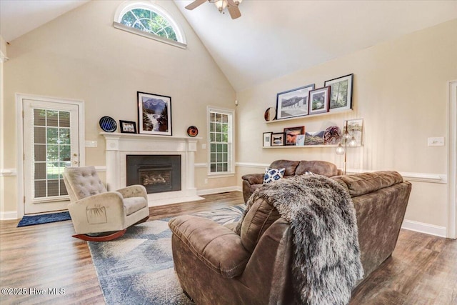 419 Morgan Trace Ln, Goldsboro, NC 27530 - living room with ceiling fan, high vaulted ceiling, wood finished floors, and a glass covered fireplace