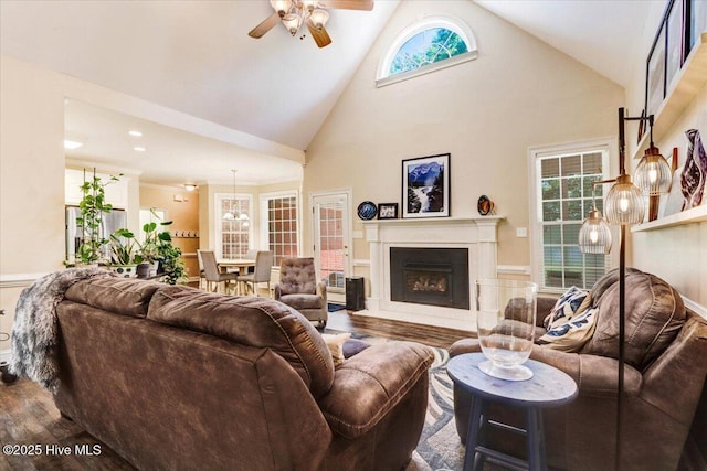 419 Morgan Trace Ln, Goldsboro, NC 27530 - living room with ceiling fan, wood finished floors, high vaulted ceiling, and a fireplace