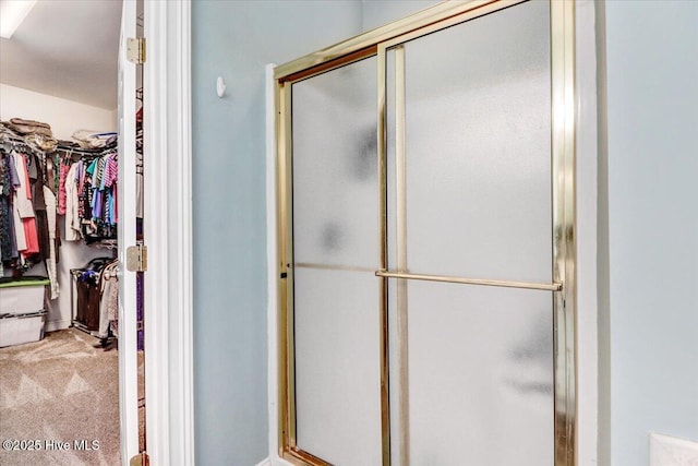 419 Morgan Trace Ln, Goldsboro, NC 27530 - full bath with a stall shower and a spacious closet