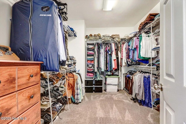 419 Morgan Trace Ln, Goldsboro, NC 27530 - spacious closet featuring carpet
