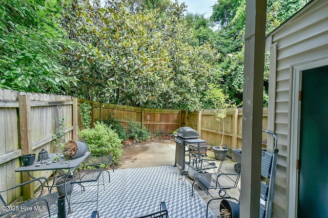 875 Martin Luther King Jr Blvd Apt 7, Chapel Hill, NC 27514 - fenced backyard with grilling area and a patio area