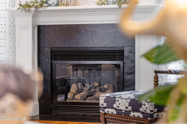 1119 Sea Bourne Way, Sunset Beach, NC 28468 - detailed view of a glass covered fireplace