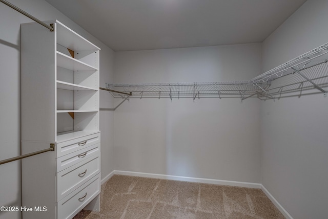 411 Isabelle St, New Bern, NC 28560 - spacious closet featuring carpet flooring