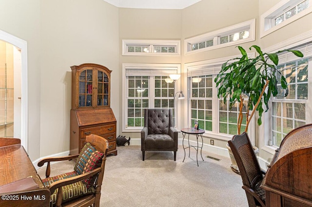 35 Magnolia Ave, Pinehurst, NC 28374 - home office featuring carpet flooring, a high ceiling, and arched walkways