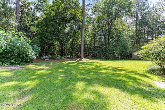 35 Magnolia Ave, Pinehurst, NC 28374 - view of green lawn