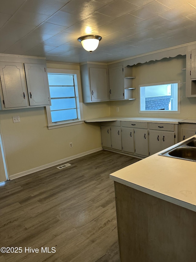 4735 Cedar Ln SW, Ocean Isle Beach, NC 28469 - kitchen with open shelves, healthy amount of natural light, dark wood-style floors, and light countertops